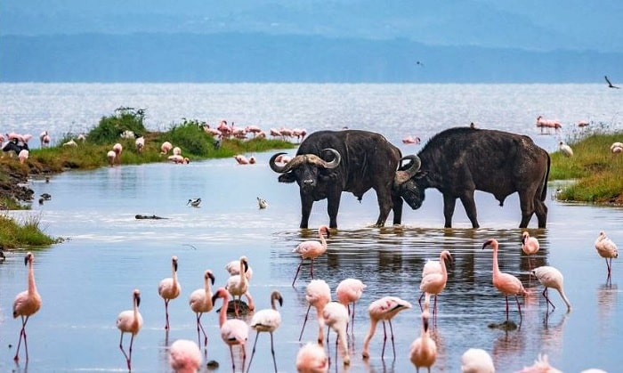 5 Day Kenya Beautiful Road Trip