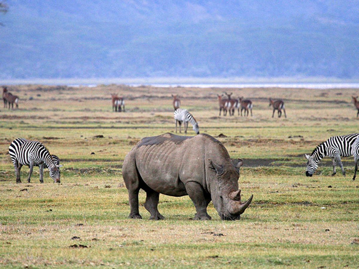Tarangire National Park.