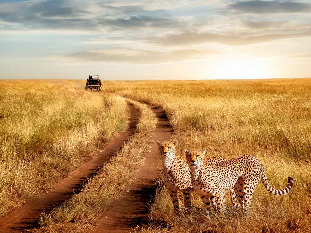 Tarangire National Park.