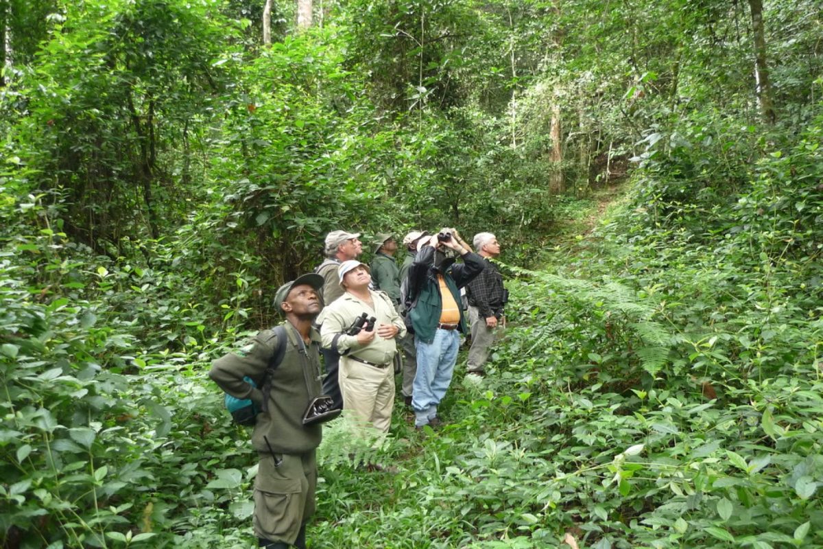 Uganda Gorilla & Wildlife Safari