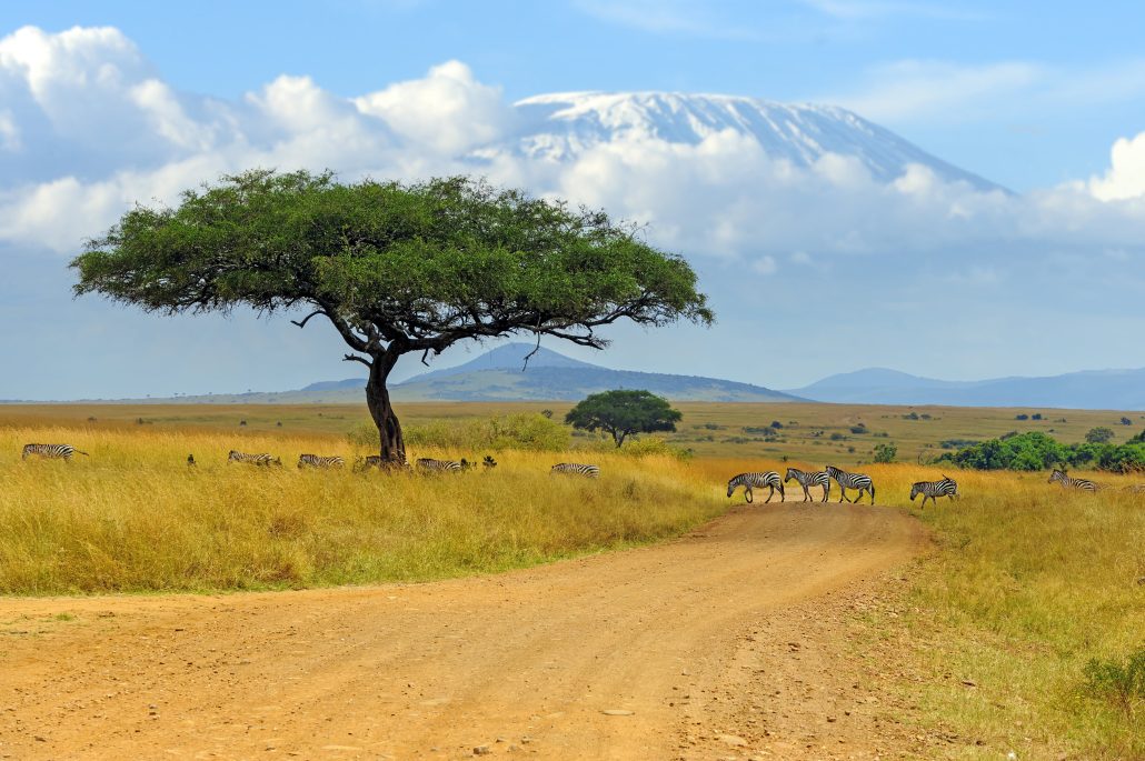 Amboseli National Park
